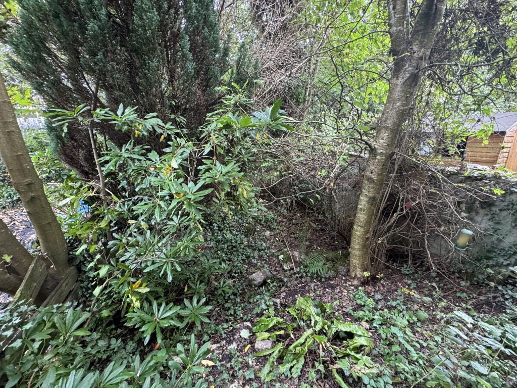 Lot: 137 - RESIDENTIAL FREEHOLD INVESTMENT AND FREEHOLD COMMUNAL LAND - view of the rear garden